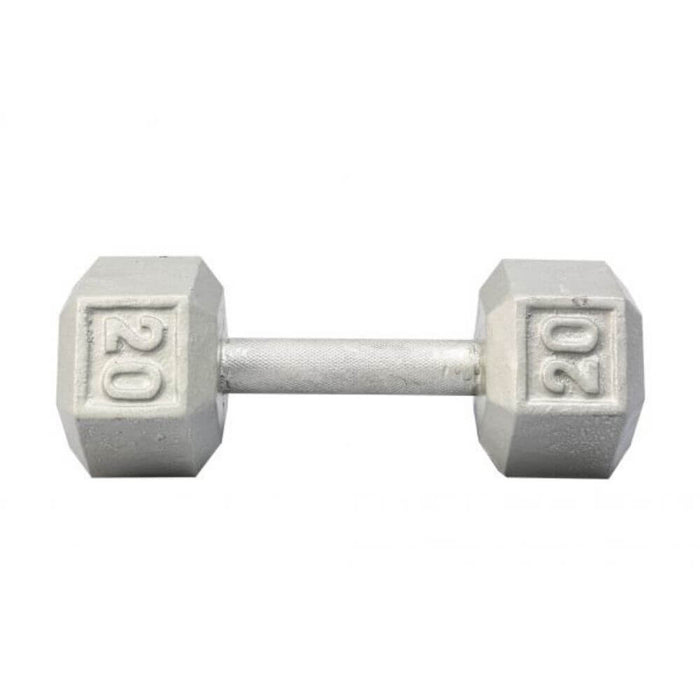 York Barbell 3461 Cast Iron Hex Dumbbells 20lb