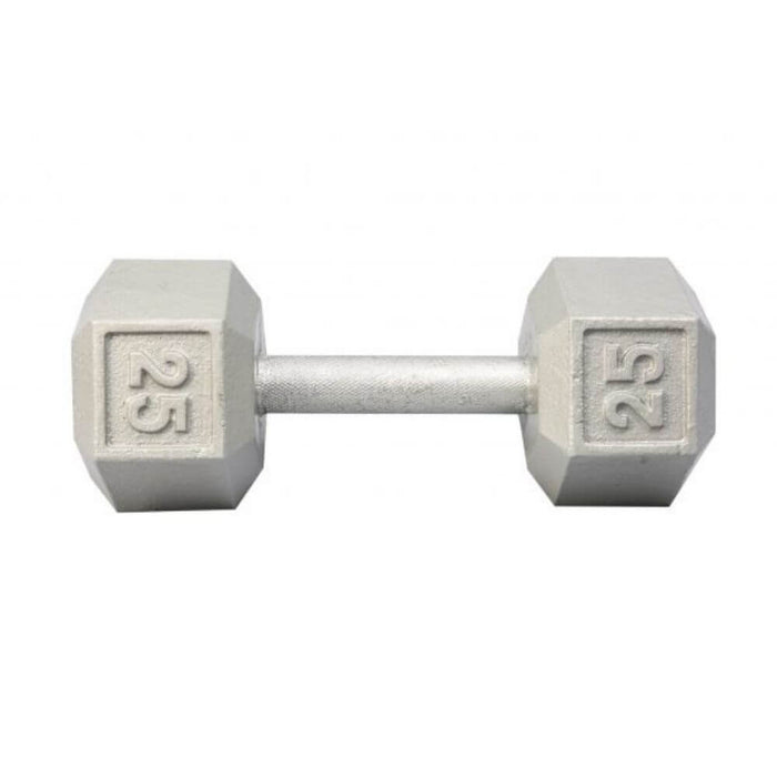 York Barbell 3461 Cast Iron Hex Dumbbells 25lb