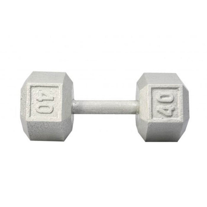 York Barbell 3461 Cast Iron Hex Dumbbells 40lb