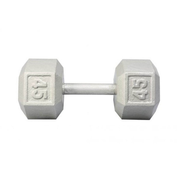 York Barbell 3461 Cast Iron Hex Dumbbells 45lb