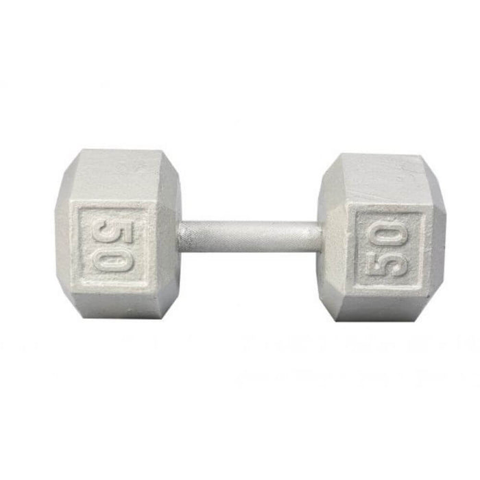 York Barbell 3461 Cast Iron Hex Dumbbells 50lb