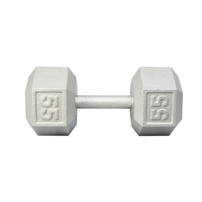 York Barbell 3461 Cast Iron Hex Dumbbells 55lb
