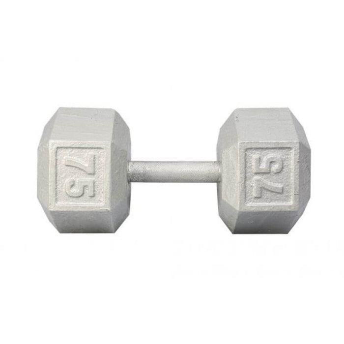 York Barbell 3461 Cast Iron Hex Dumbbells 75lb