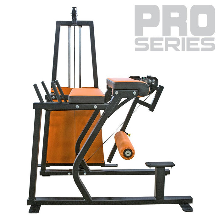 Legend Fitness Pro Series Reverse Back Extension