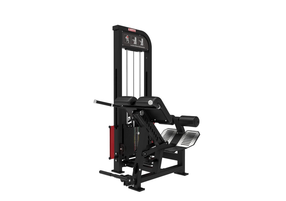 Muscle D Fitness - Excel Loaded Back Extension - Selectorized 45 Degree Hyper Extension - Band Compatable