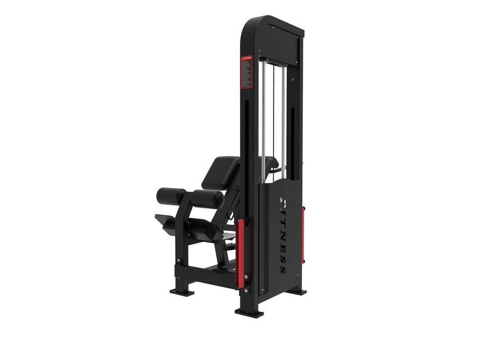 Muscle D Fitness - Excel Loaded Back Extension - Selectorized 45 Degree Hyper Extension - Band Compatable