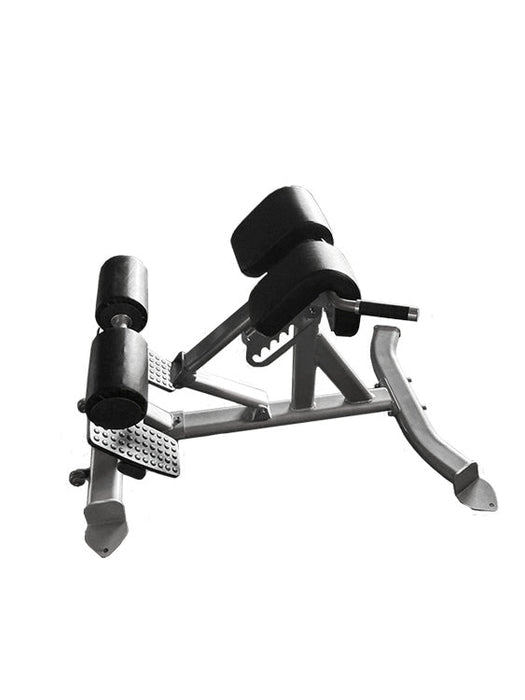 Muscle D Fitness -  Back Extension Bench